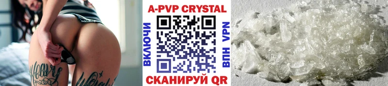 Альфа ПВП СК КРИС  как найти   Котлас 