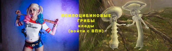 дживик Абаза