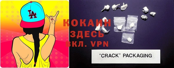 винт Алзамай