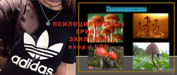 винт Алзамай