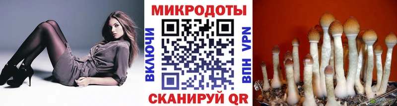 Псилоцибиновые грибы ЛСД  kraken вход  Котлас 